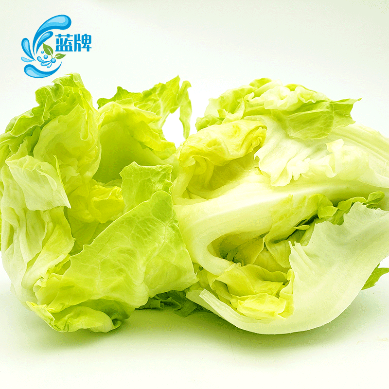 生菜蓝牌新鲜iceberg沙拉菜球西餐色拉500克5份其它