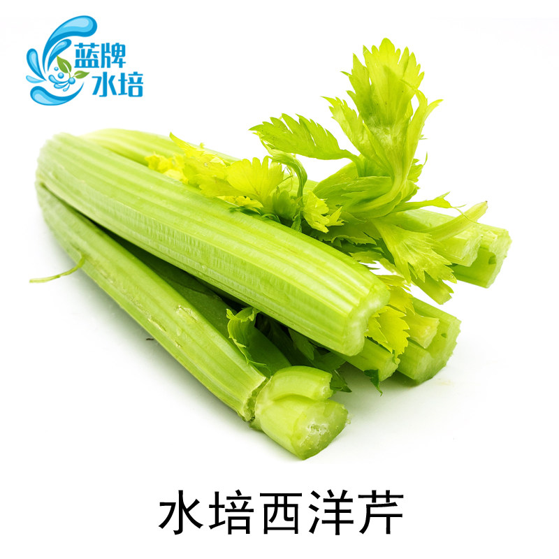 【蓝牌】新鲜蔬菜 西芹 洋芹菜 西洋芹 大芹菜1000g