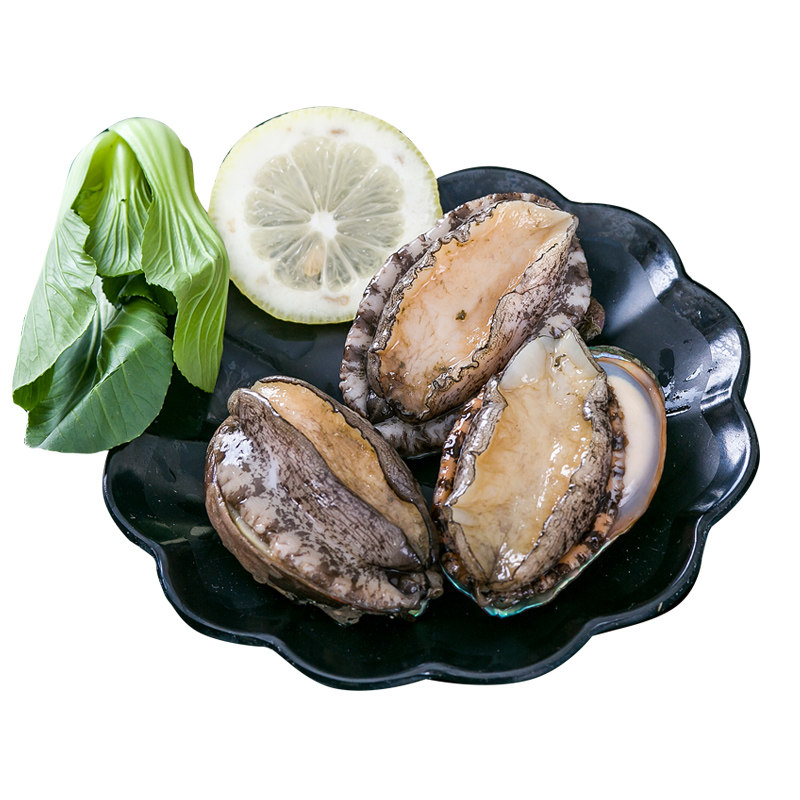 放心好店天香罗新鲜海捕鲜活大个水产大鲍鱼