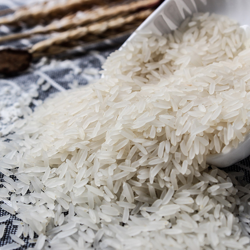 大米亚灿广东罗定特产优质香米米苏软香新鲜大米