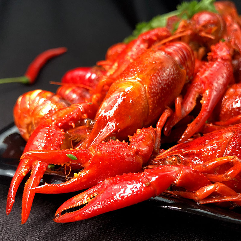 9元】洪湖清水麻辣小龙虾熟食调味龙虾烧制香辣味龙虾