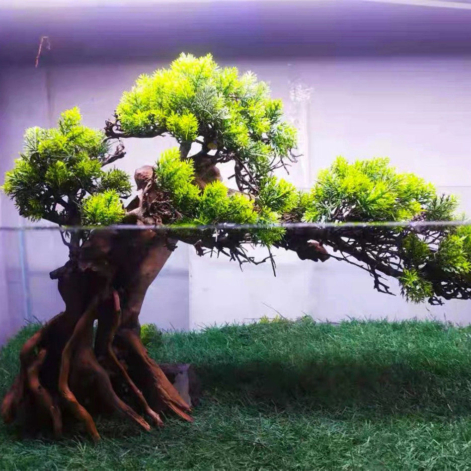 巴西定制沉木鱼缸水族箱造景一树树成迎客松树沉造景