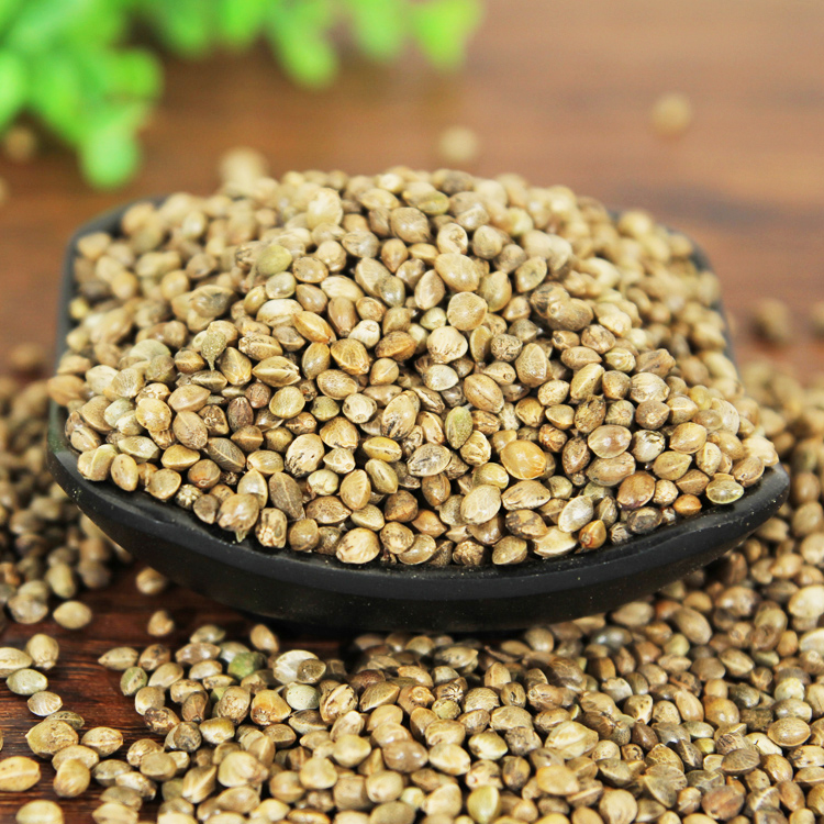 中药材火麻仁线麻子500克麻子仁火麻子火麻籽生麻仁麻实线麻仁