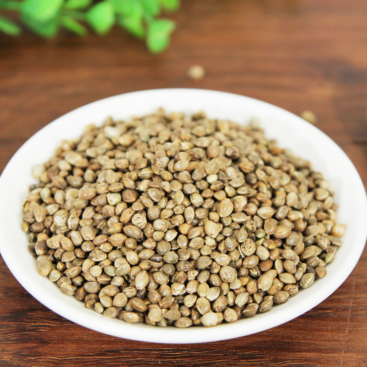 中药材火麻仁线麻子500克麻子仁火麻子火麻籽生麻仁麻实线麻仁