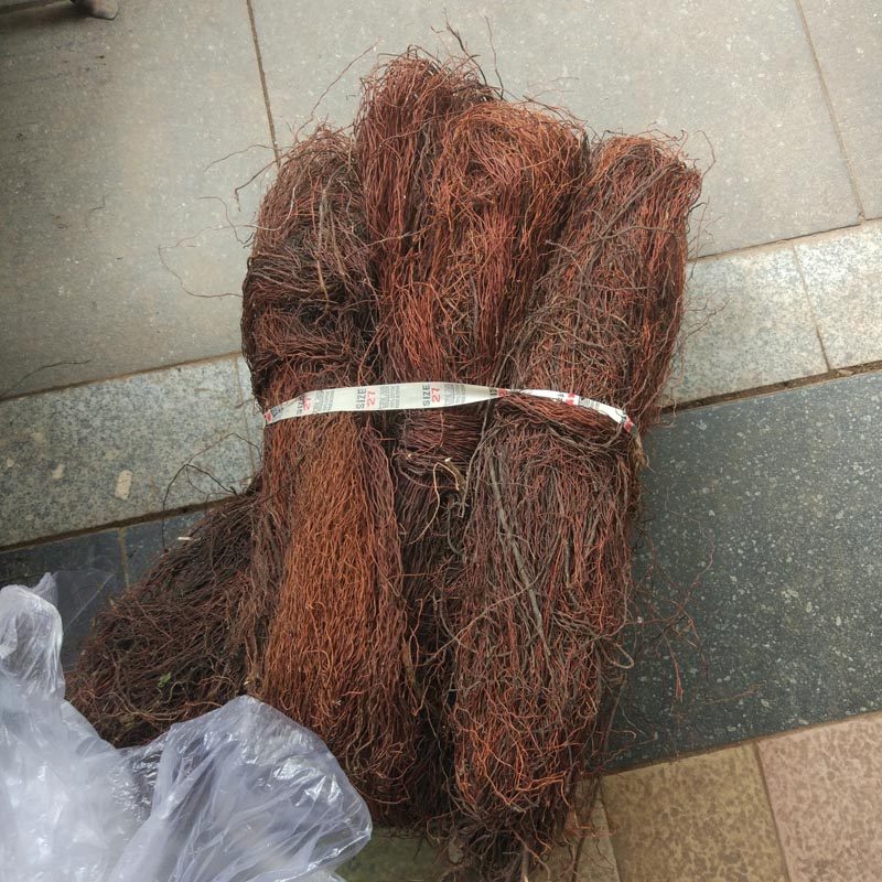 须根造景根须树须龙须根榕树须爬藤条天然鱼缸造景