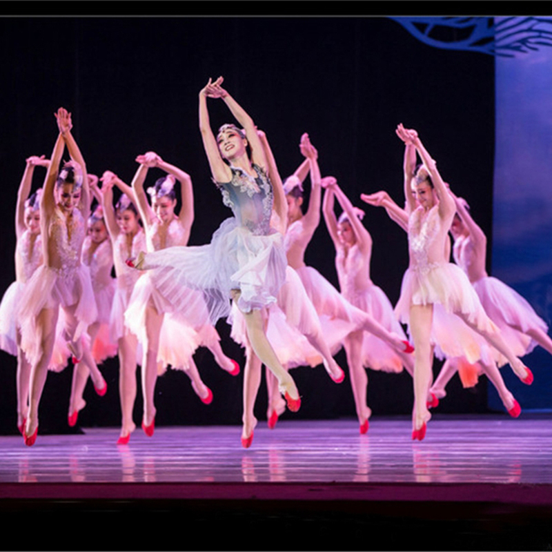 朱鹮飘逸群舞现代舞定制舞蹈洁静朱洁静表演演出民族服装