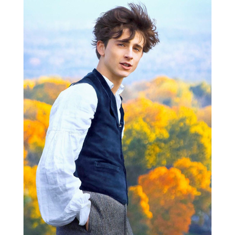 甜茶同款提莫小妇人电影秋冬欧美白色宽松复古衬衫