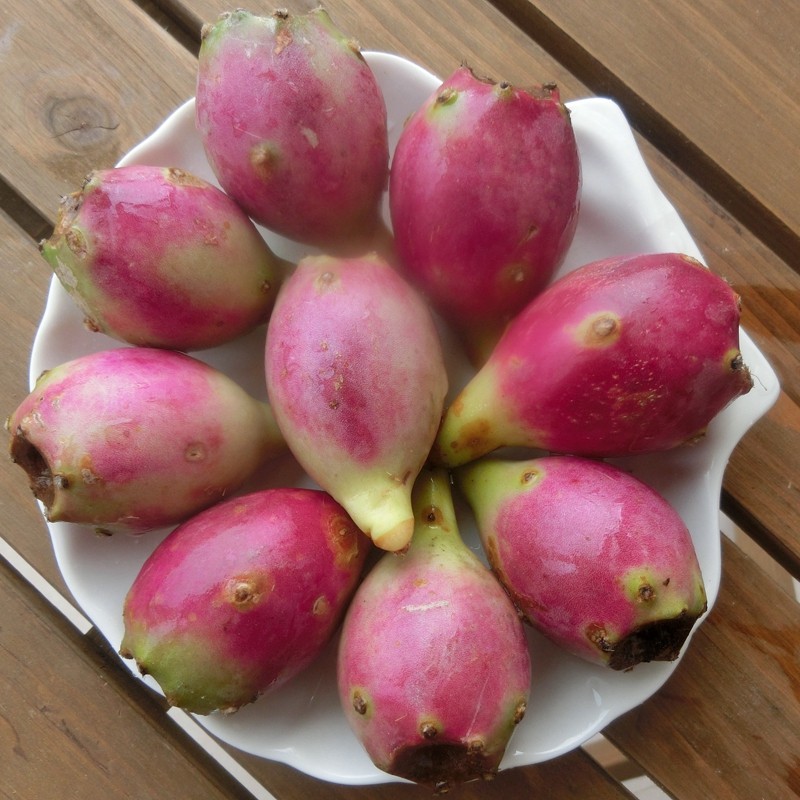 空运大果红果2斤仙人掌新鲜热带水果成熟海南三亚其它