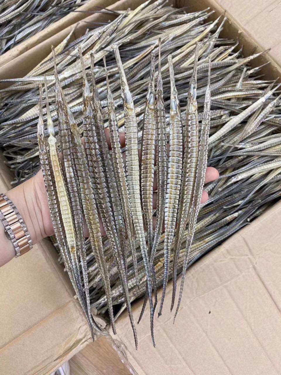 海龙大号六角海产品干货泡酒煲汤入药材料50克传统滋补品其他