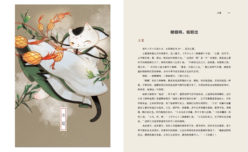 现货包邮 观复猫 我们的二十四节气 马未都 著 观复猫萌照和节气 文物