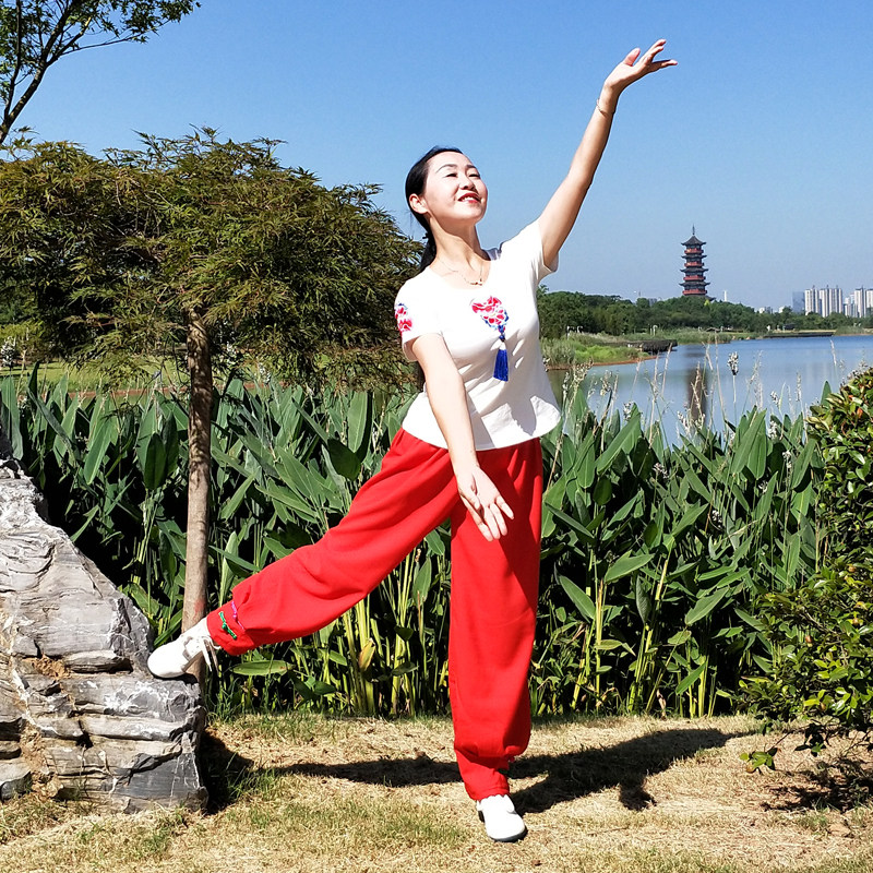 红尘遇见応子广场舞服装新款套装2019夏季纯棉绣花短袖麻棉灯笼裤