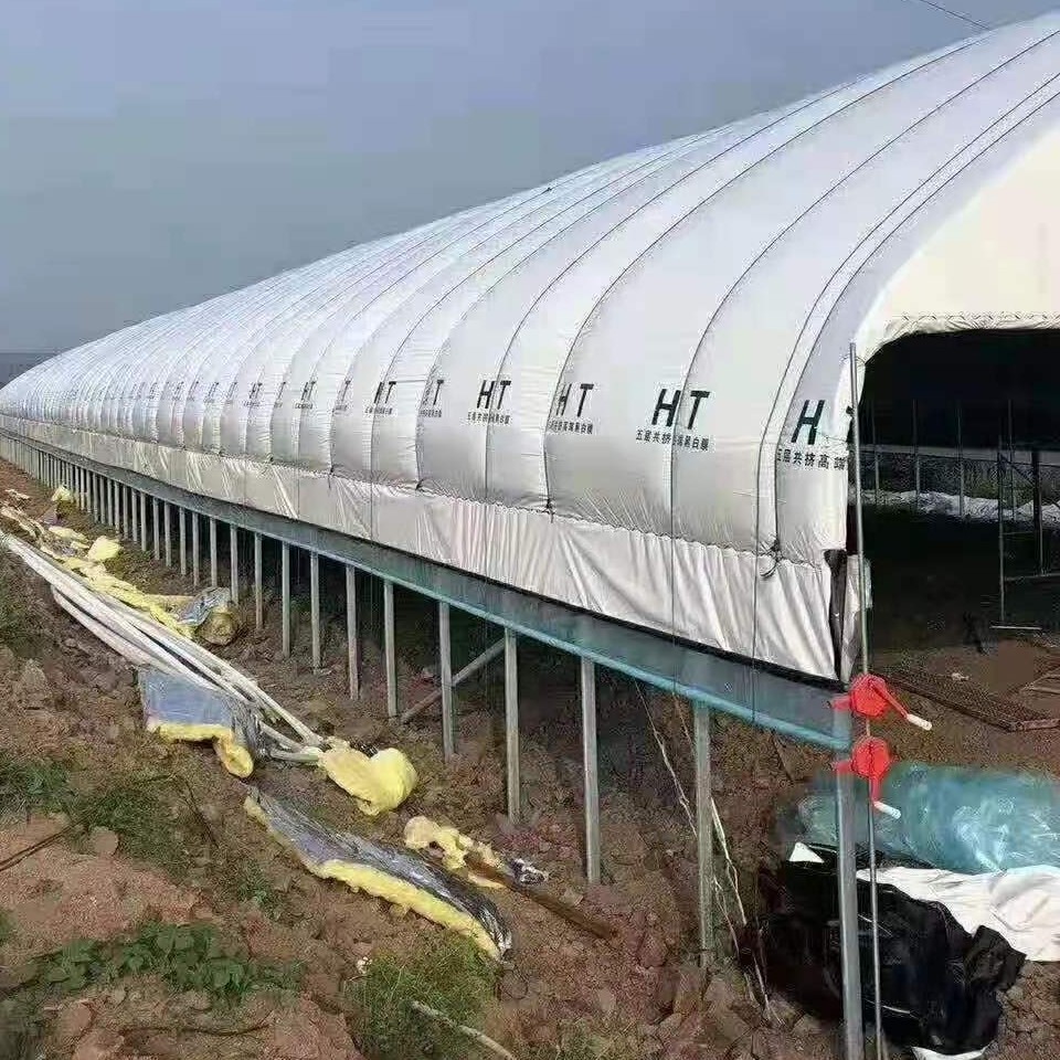 大棚骨架钢管全套椭圆包塑管蔬菜种植养殖鸡鸭温室大棚支架