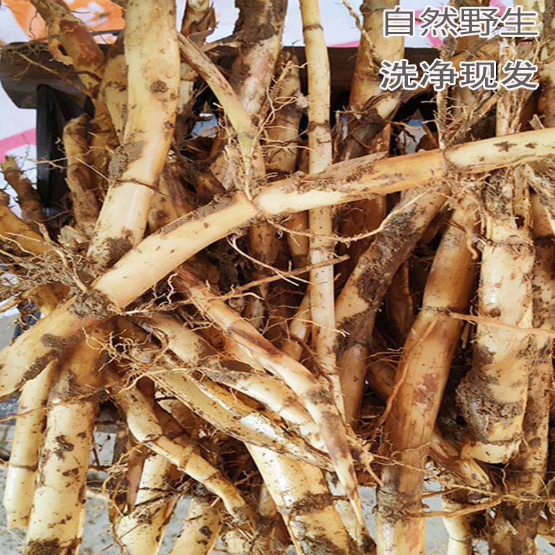 散装新鲜芦苇根中药材芦根野生芦茅根现挖老芦根苇子根芦柴根500g