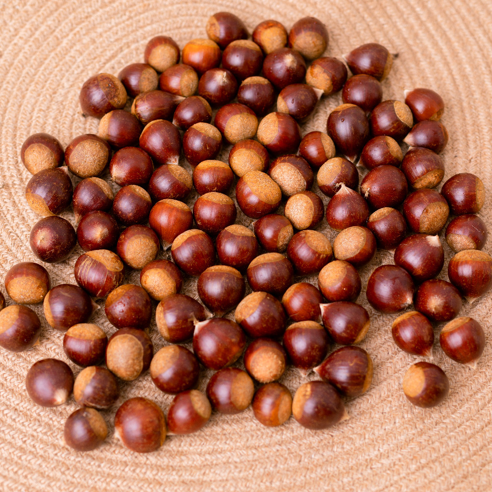 福建建瓯特产现摘锥栗油锥圆板栗即食去皮高山新鲜板栗