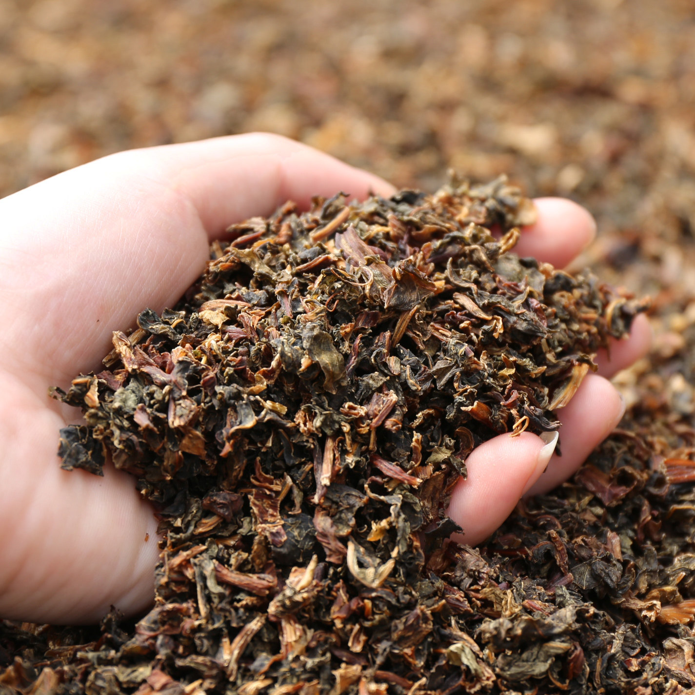 梅菜干正宗梅干菜干货梅菜扣肉农家自制散装霉干菜脱水蔬菜250g