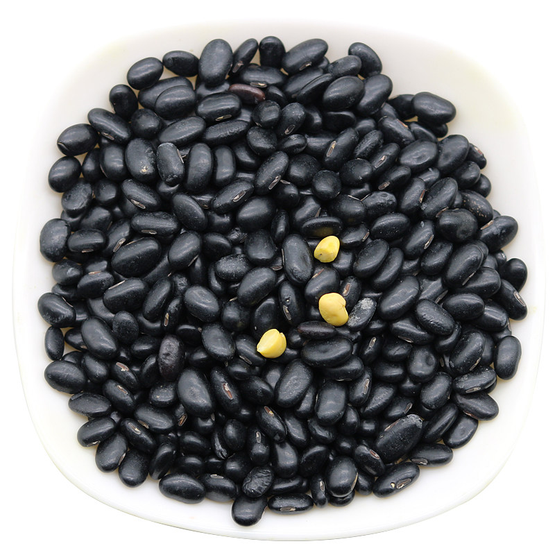 黄芯黑豆农家自产种小黑豆黄心仁肾形发豆芽豆浆五谷杂粮5斤包邮