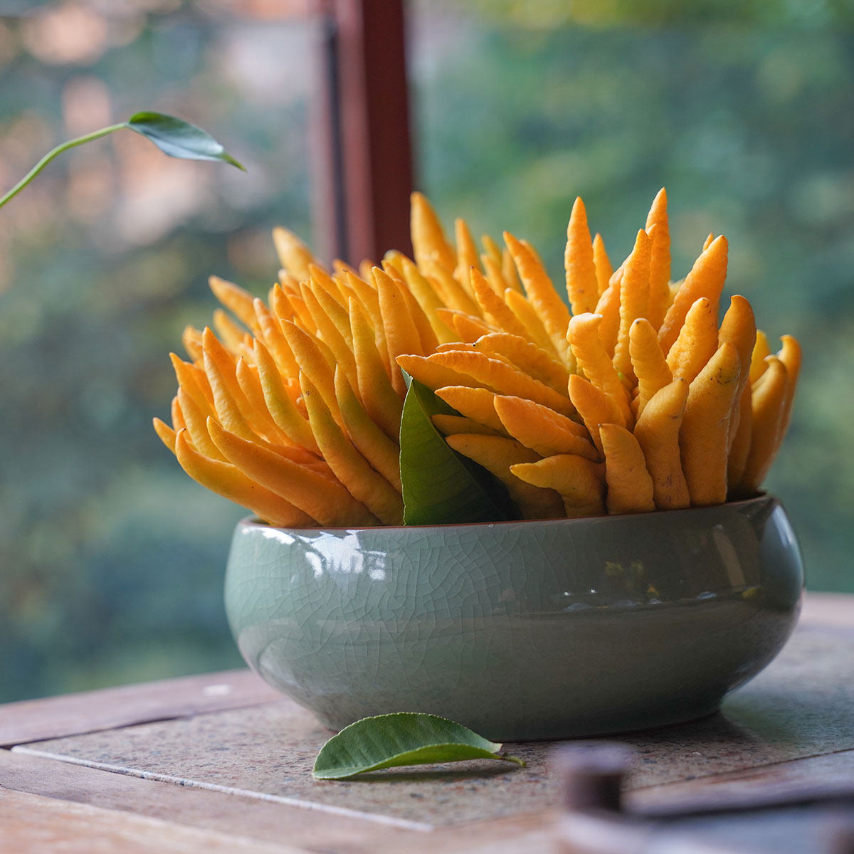 佛手瑕疵观赏天然空气清新鲜果新鲜泡茶泡酒食用佛手果