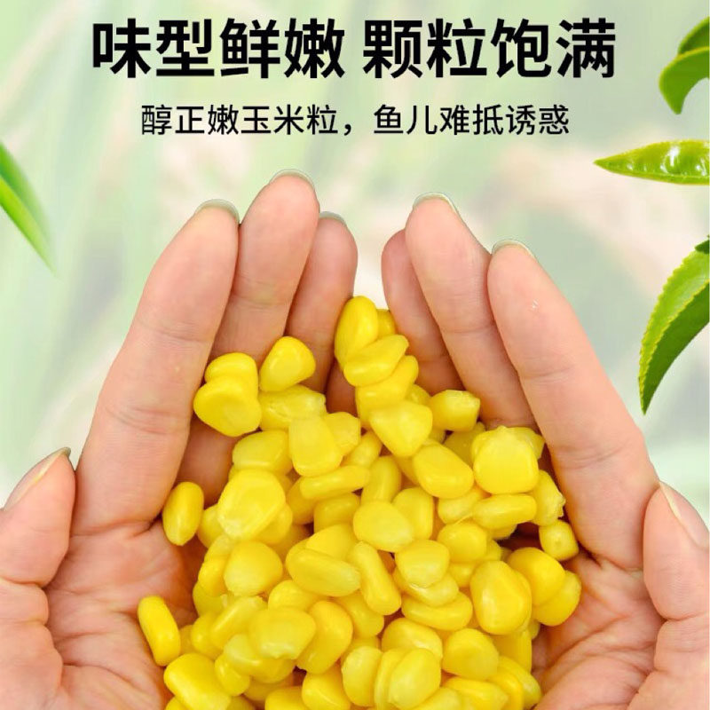 生鲜玉米鱼浪鱼饵重窝900g筏钓底窝料野水库活饵