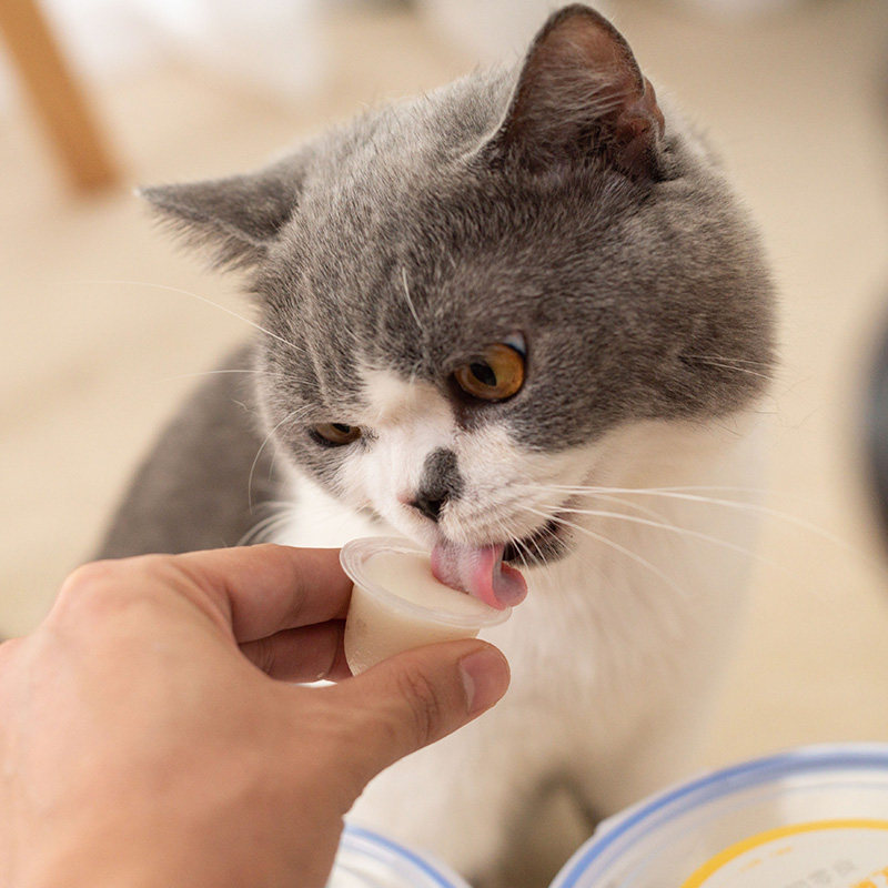 零食both山羊羊奶幼猫布丁50粒猫咪补钙果冻猫咪特色零食