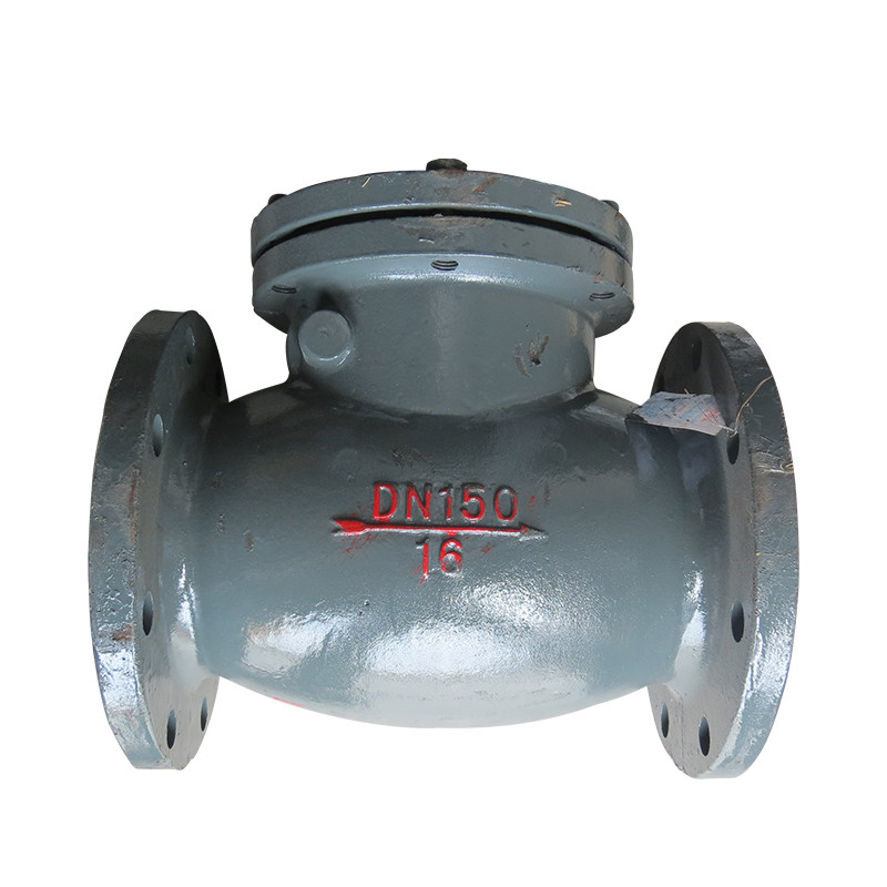 天津大站力字牌阀门h44t16铸铁法兰旋启式卧立止回阀dn40dn500