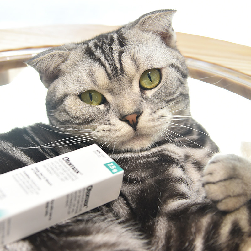 原装进口otomax耳特净7.5g犬猫耳螨耳炎真菌感染多省包邮