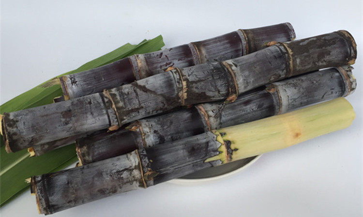 5斤包邮广东黑皮甘蔗孕妇新鲜水果现当季红皮甘蔗特产当季清甜多