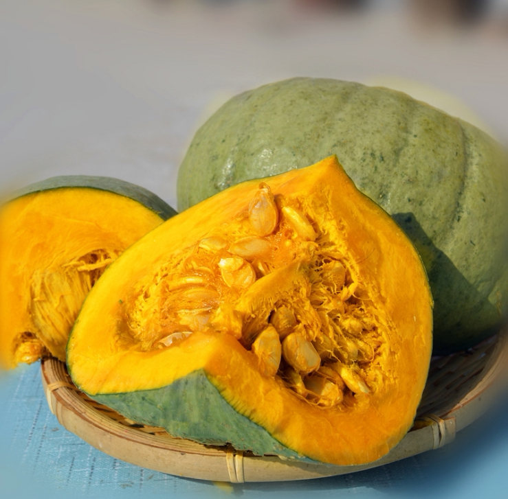 甜面银栗南瓜种子栗味干糯果肉存放新疆板栗蔬菜种子