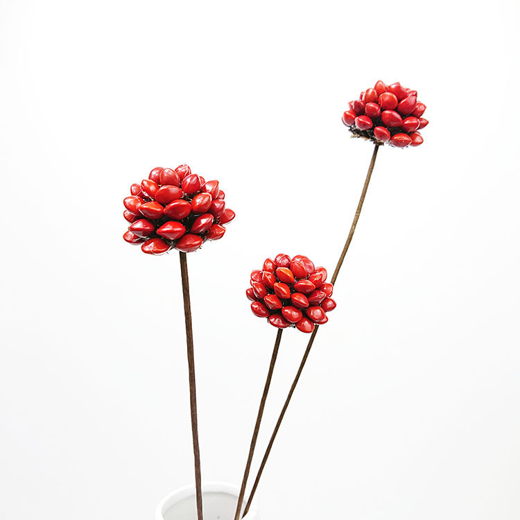 红豆制作摆件装饰客厅相思树枝手工制红豆相思手工干花