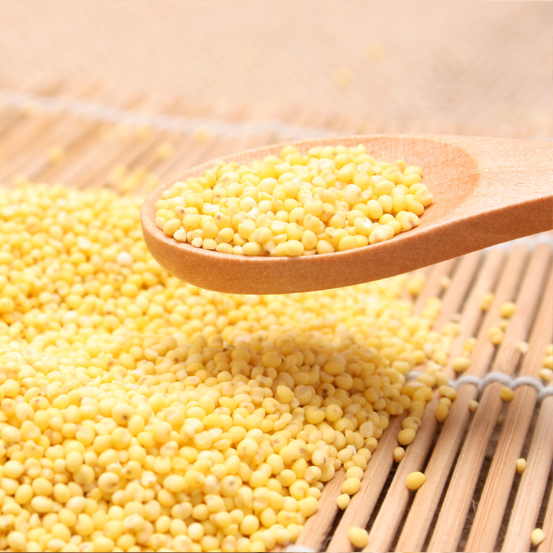 东北大黄黏黄米农家小米豆包粽子年糕软黄米黍米小米