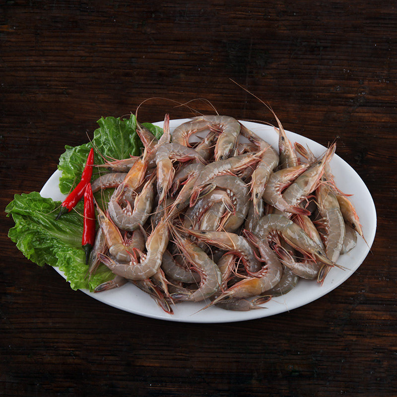滑皮东海新鲜条虾壳虾条虾剑海鲜水产鲜活呛虾活虾