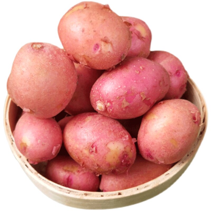 小土豆云南新鲜红皮现挖黄心迷你洋芋高山粉糯土豆