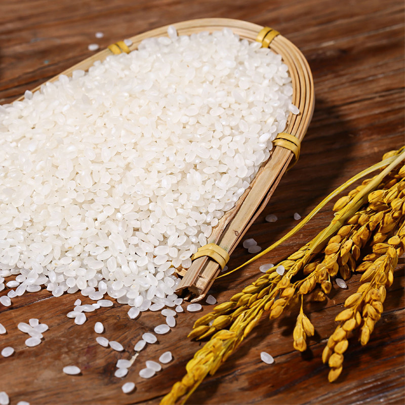淘乡甜东北大米同江大米10斤黑龙江大米珍珠米粥米圆粒米产地直发