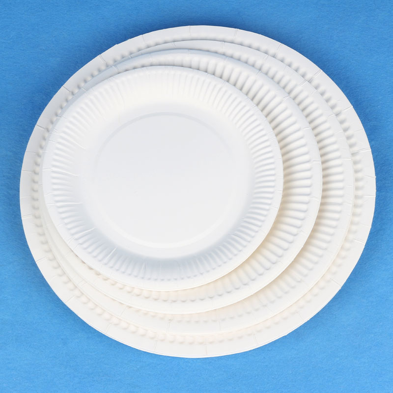 纸盘白色盘子儿童手工手工制制作美术绘画画画手工创意粘贴类