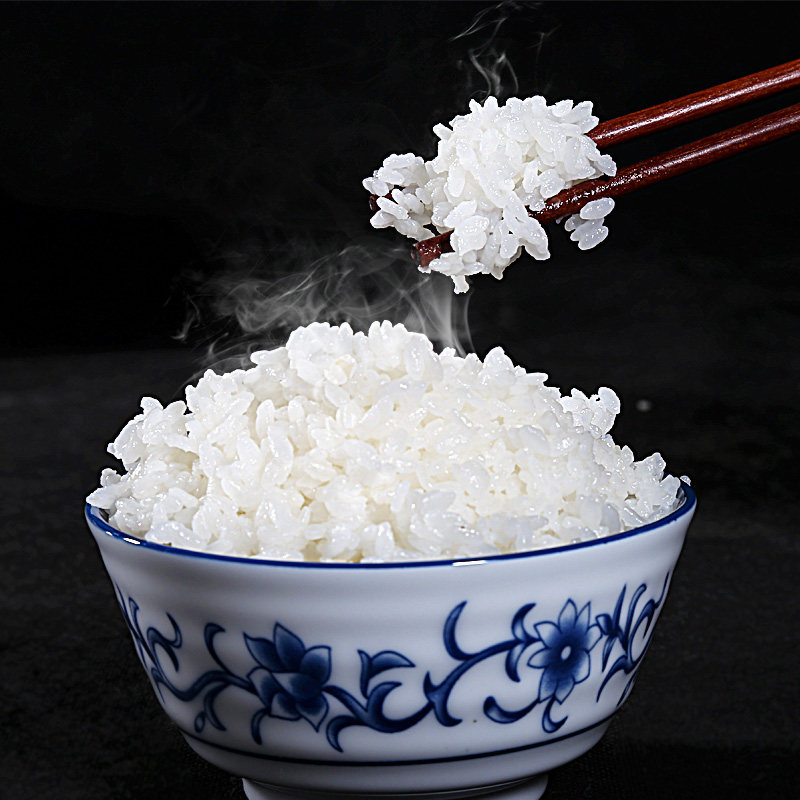 津宝地2021新米天津小站稻珍珠大米5kg10斤蟹田粳米东北大米品质