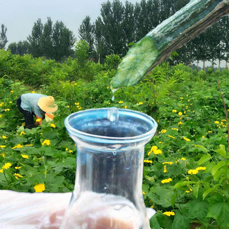 巨型一号纯天然丝瓜水无添加原液爽肤水保湿补水男女学生化妆水