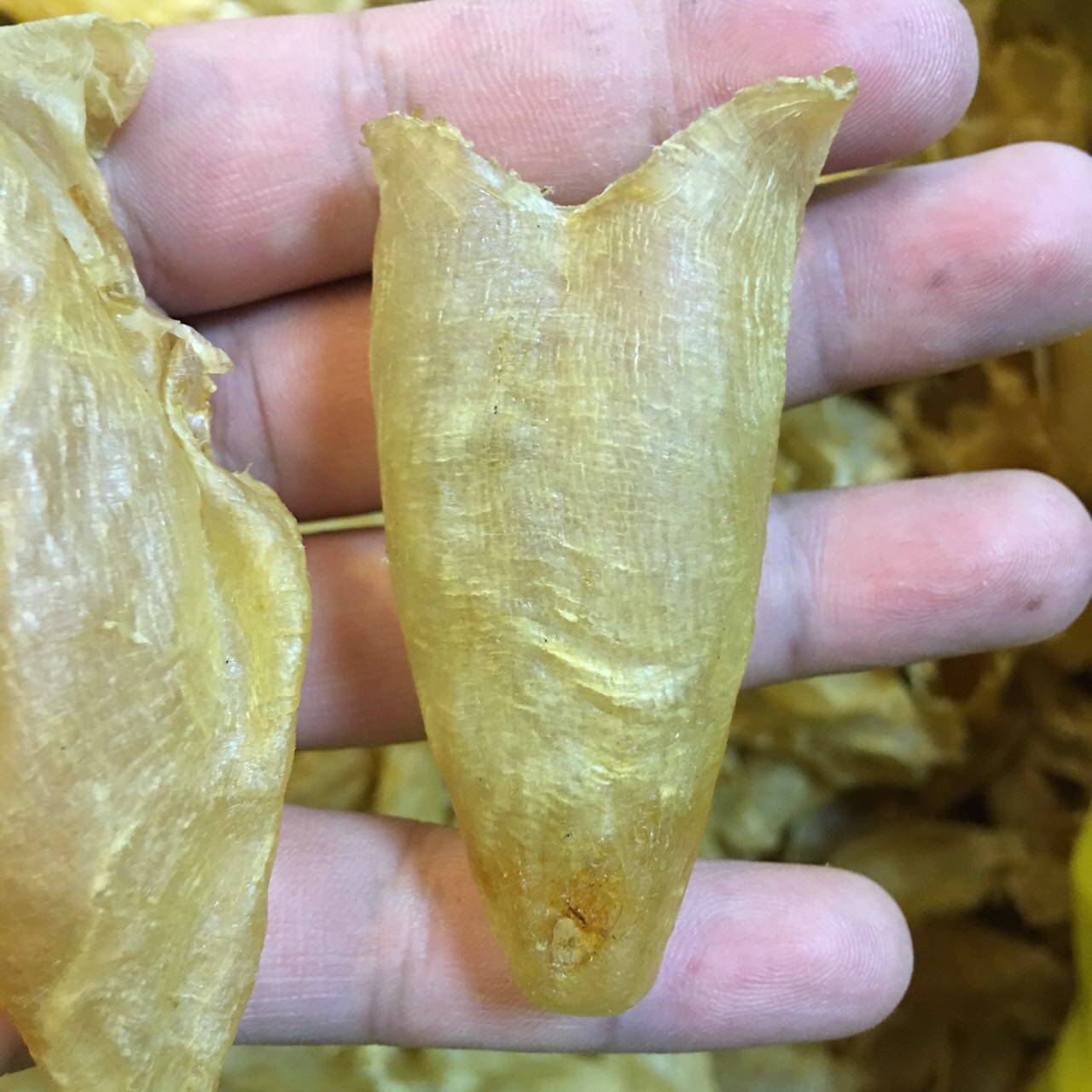 小号黄花湛江深海海鱼孕妇滋补花胶鱼胶鱼肚花胶