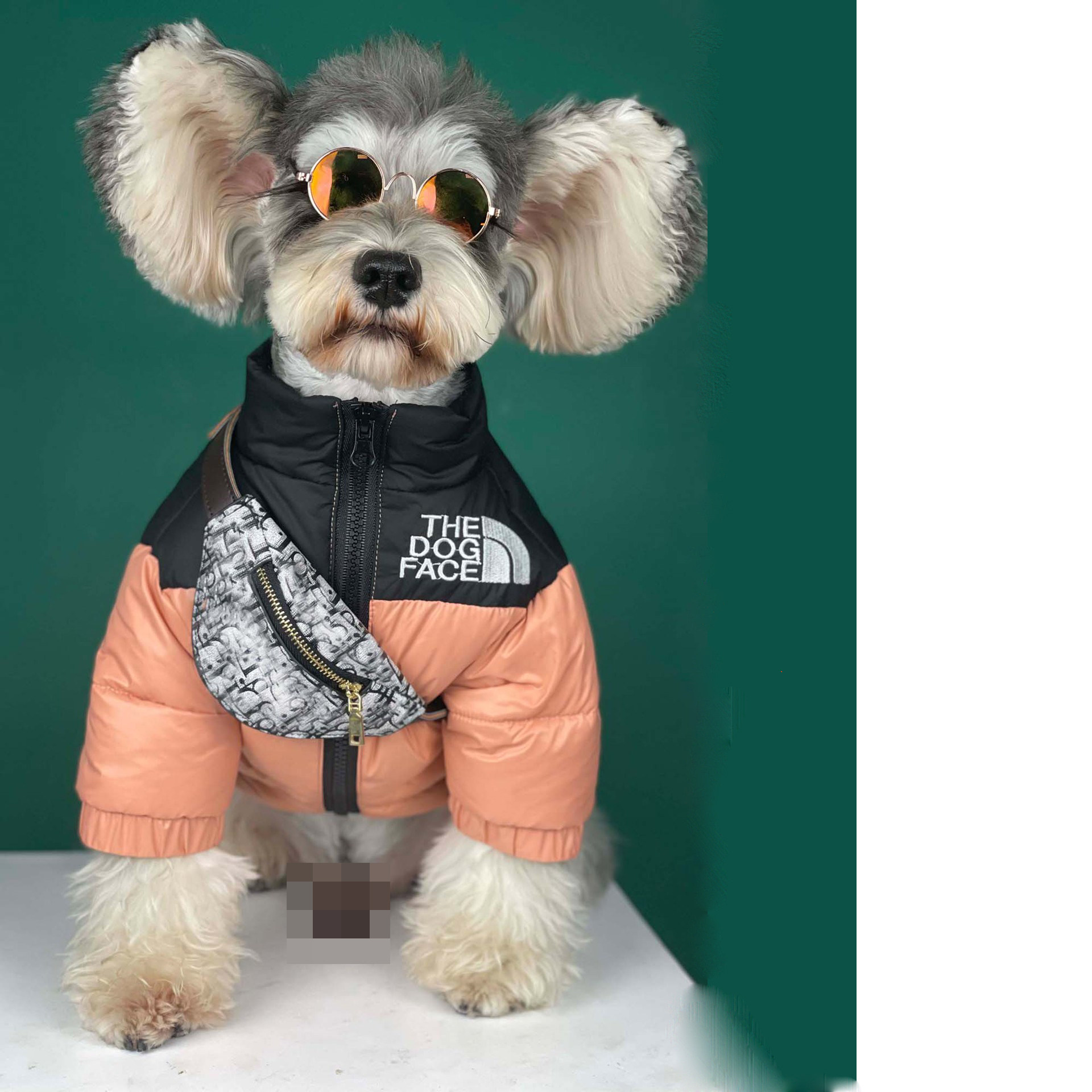 宠物英短蓝猫猫咪迷你头盔胸包新款机车安全帽帽子