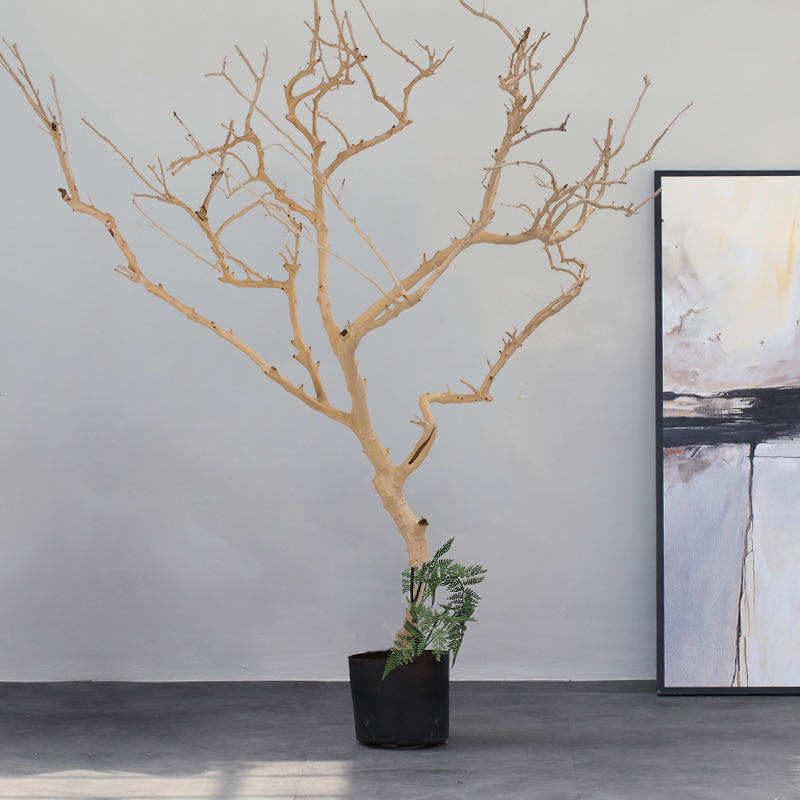 店铺新款干花树枝室内庭院造型家居落地摆件干花