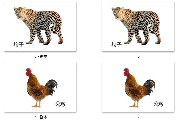 动物配对儿童卡片早教益智自闭症康复训练名词玩具挂图