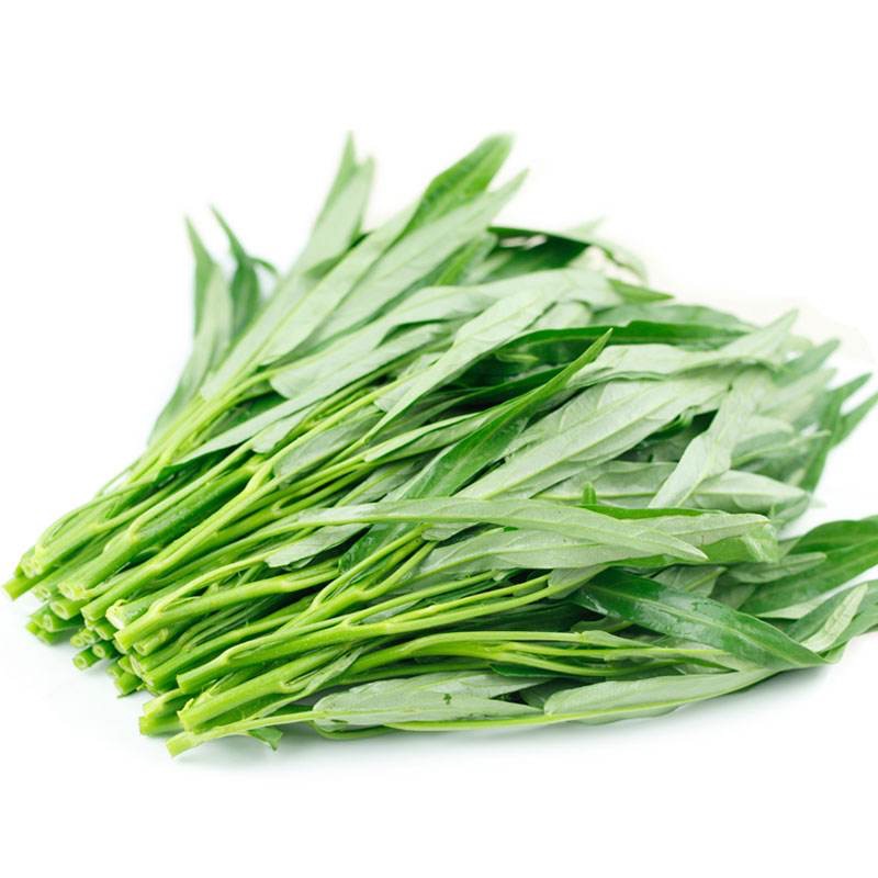 空心菜种子竹叶种籽通菜四季阳台盆栽农家蔬菜其它