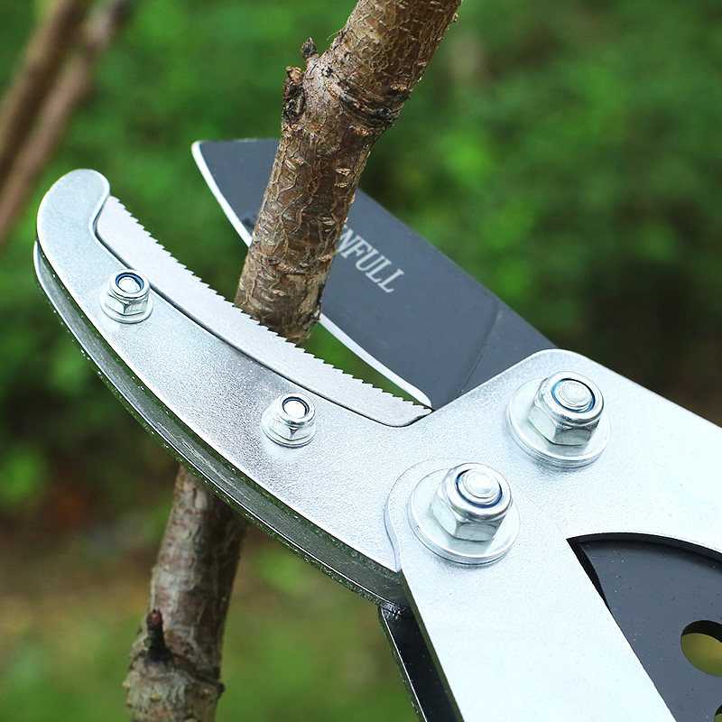 高枝剪果树大剪刀伸缩大力粗枝修枝树枝绿化花园剪刀