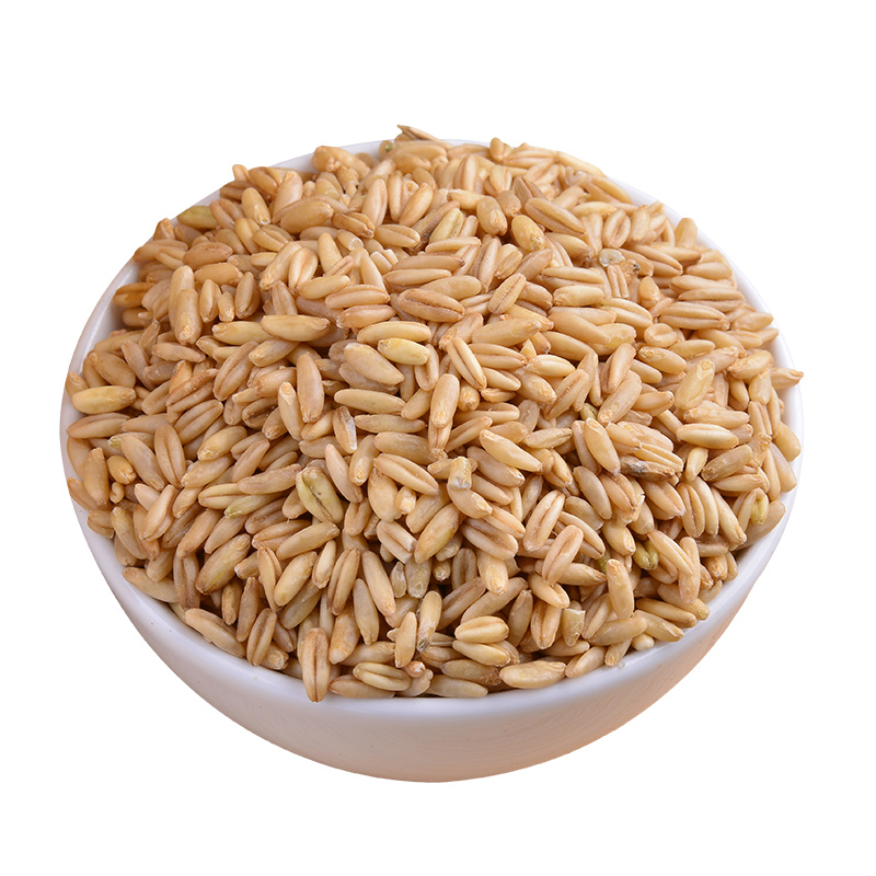 农家胚芽燕麦米散装裸燕麦生燕麦仁五谷杂粮粗粮饭杂米麦子250g