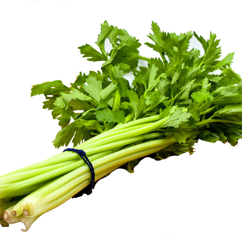 露泽鲜蔬新鲜西芹蔬菜芹菜西餐沙拉拌菜800g其它