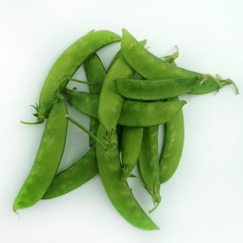 夹豆新鲜任搭五份包邮小荷荷兰豆500g农家自种新鲜豆类