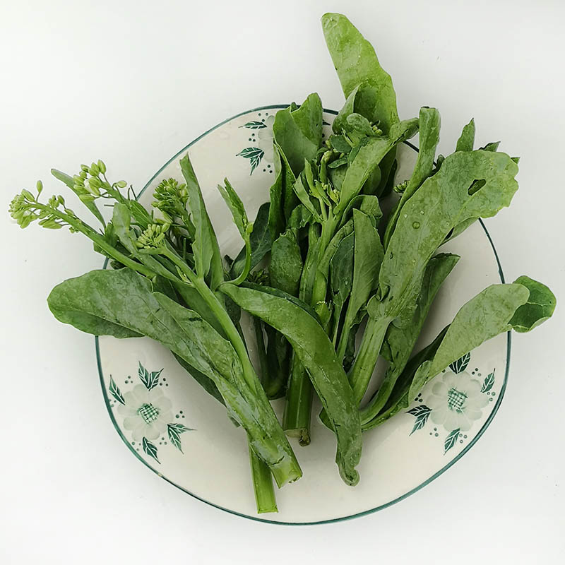 【任搭5份包邮】芥蓝菜500g 云南新鲜蔬菜 农家现摘芥兰菜