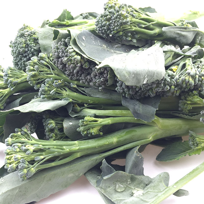 新鲜兰花西兰5斤包邮菜苔青花花菜苔菜蔬菜西兰花