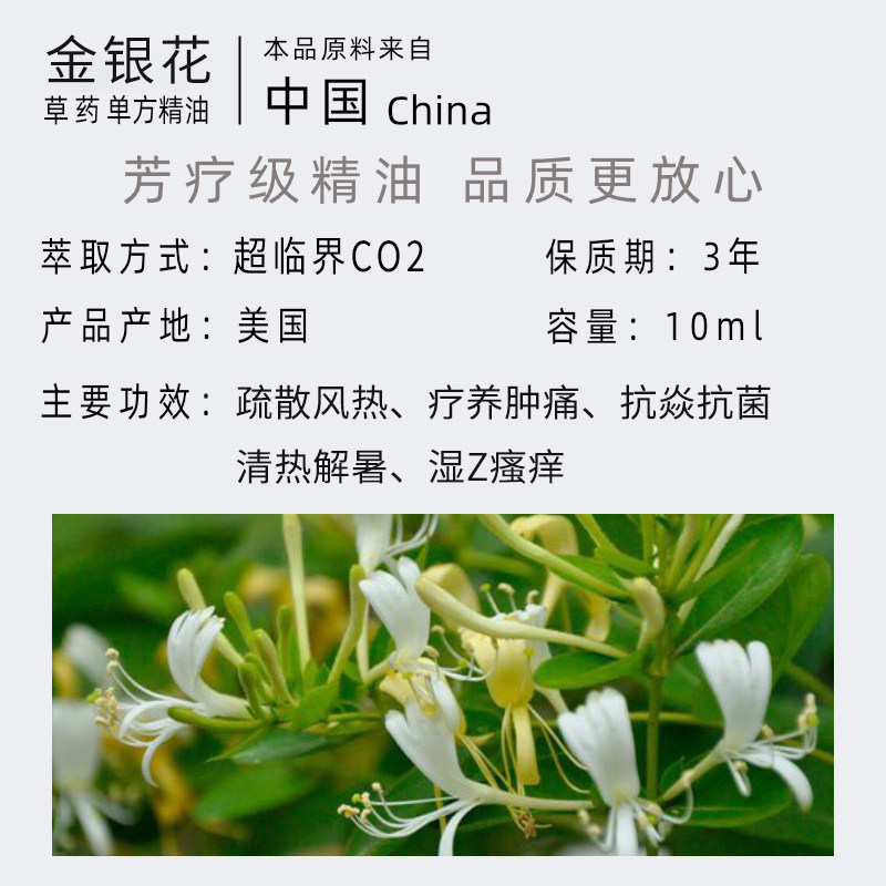 进口忍冬金银花草本单方精油按摩舒缓护理全身单方精油