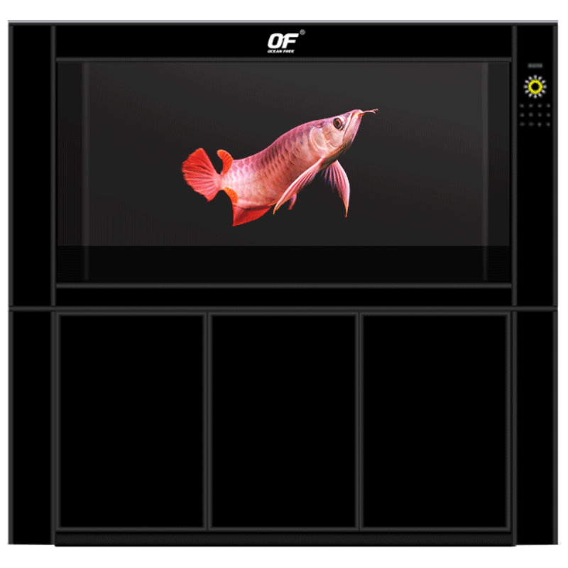 鱼缸4代仟湖热带鱼热带水族箱生态大型玻璃of鱼缸