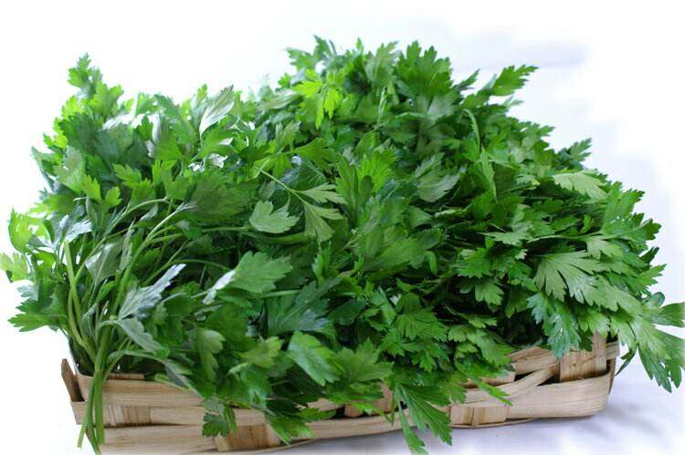 微绿田园新鲜香草香料parsly法国香菜洋芫荽番其它