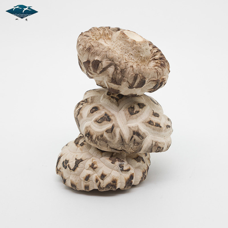 双鹰大花菇香菇干货冬菇蘑菇散装香姑农家用随州花茹花姑椴木500g